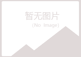 铁山区情场化学有限公司